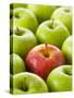 One Red Apple Among Green Apples-Greg Elms-Stretched Canvas