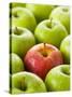 One Red Apple Among Green Apples-Greg Elms-Stretched Canvas