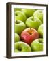 One Red Apple Among Green Apples-Greg Elms-Framed Premium Photographic Print