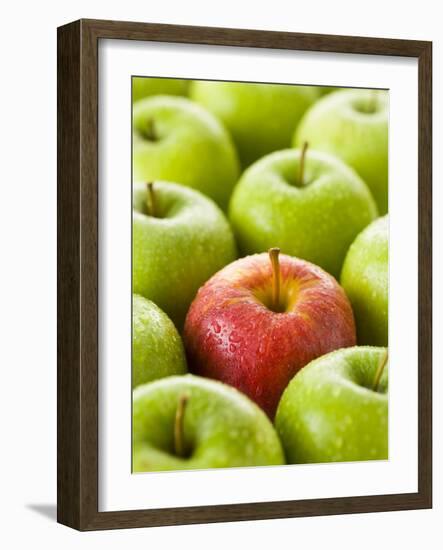 One Red Apple Among Green Apples-Greg Elms-Framed Photographic Print