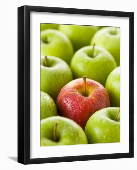 One Red Apple Among Green Apples-Greg Elms-Framed Photographic Print