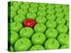 One Red Apple On A Background Of Green Apples-Maestriadiz-Stretched Canvas