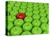 One Red Apple On A Background Of Green Apples-Maestriadiz-Stretched Canvas