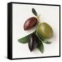 One Red, One Green and One Black Olive-Luzia Ellert-Framed Stretched Canvas