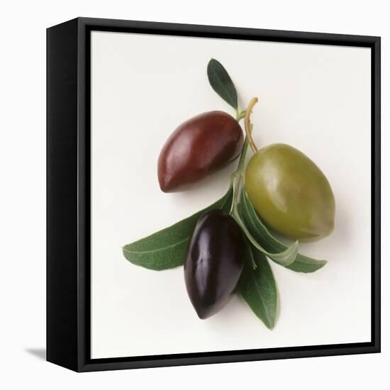 One Red, One Green and One Black Olive-Luzia Ellert-Framed Stretched Canvas