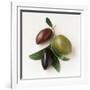 One Red, One Green and One Black Olive-Luzia Ellert-Framed Photographic Print