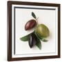 One Red, One Green and One Black Olive-Luzia Ellert-Framed Photographic Print