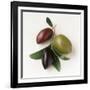 One Red, One Green and One Black Olive-Luzia Ellert-Framed Photographic Print