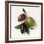 One Red, One Green and One Black Olive-Luzia Ellert-Framed Photographic Print