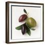 One Red, One Green and One Black Olive-Luzia Ellert-Framed Photographic Print