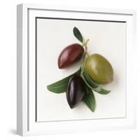 One Red, One Green and One Black Olive-Luzia Ellert-Framed Photographic Print