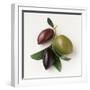 One Red, One Green and One Black Olive-Luzia Ellert-Framed Photographic Print