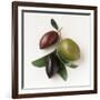 One Red, One Green and One Black Olive-Luzia Ellert-Framed Photographic Print