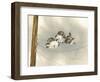 One Ringy Dingy-Peggy Harris-Framed Premium Giclee Print