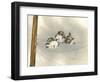 One Ringy Dingy-Peggy Harris-Framed Premium Giclee Print