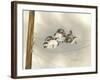 One Ringy Dingy-Peggy Harris-Framed Giclee Print