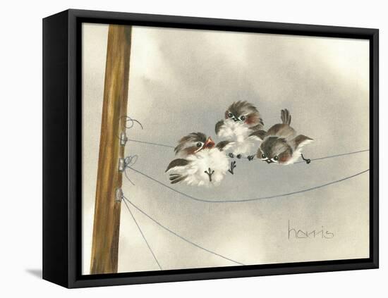 One Ringy Dingy-Peggy Harris-Framed Stretched Canvas