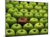 One Rotten Apple Amongst Other Green Apples-Miller John-Mounted Photographic Print