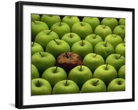 One Rotten Apple Amongst Other Green Apples-Miller John-Framed Photographic Print