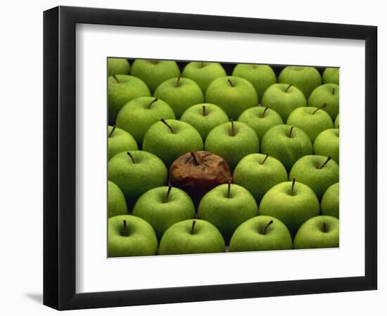 One Rotten Apple Amongst Other Green Apples-Miller John-Framed Photographic Print