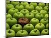 One Rotten Apple Amongst Other Green Apples-Miller John-Mounted Photographic Print