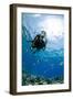 One Scuba Diver Diving in Shallow Water-Mark Doherty-Framed Photographic Print