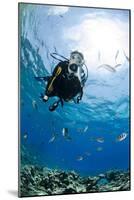 One Scuba Diver Diving in Shallow Water-Mark Doherty-Mounted Photographic Print