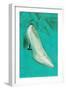 One Silver High-Heeled Shoe-null-Framed Art Print