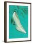 One Silver High-Heeled Shoe-null-Framed Art Print