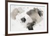 One Step XVI-Rikki Drotar-Framed Giclee Print