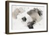 One Step XVI-Rikki Drotar-Framed Premium Giclee Print