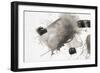 One Step XVII-Rikki Drotar-Framed Giclee Print