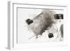 One Step XVII-Rikki Drotar-Framed Giclee Print