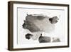 One Step XVIII-Rikki Drotar-Framed Premium Giclee Print