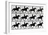 One Stride in Eleven Phases, 1881, Illustration from 'Animals in Motion' by Eadweard Muybridge,…-Eadweard Muybridge-Framed Giclee Print