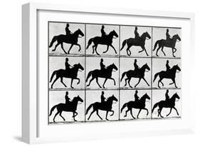 One Stride in Eleven Phases, 1881, Illustration from 'Animals in Motion' by Eadweard Muybridge,…-Eadweard Muybridge-Framed Giclee Print