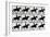 One Stride in Eleven Phases, 1881, Illustration from 'Animals in Motion' by Eadweard Muybridge,…-Eadweard Muybridge-Framed Giclee Print