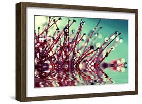 One Sunday Morning-Incredi-Framed Photographic Print