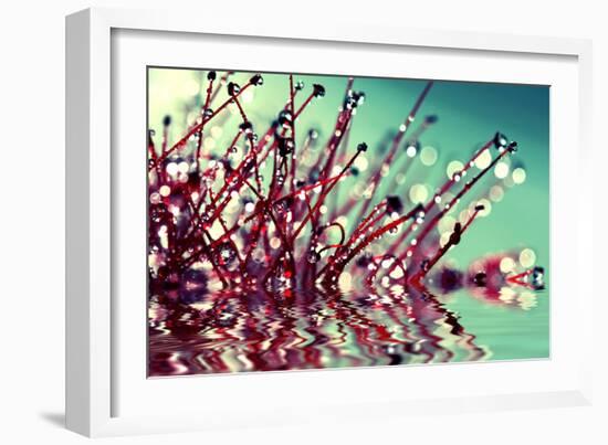 One Sunday Morning-Incredi-Framed Photographic Print