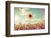 One Sunflower Rising above the Rest-soupstock-Framed Photographic Print