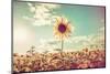 One Sunflower Rising above the Rest-soupstock-Mounted Photographic Print