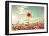 One Sunflower Rising above the Rest-soupstock-Framed Photographic Print