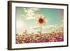 One Sunflower Rising above the Rest-soupstock-Framed Photographic Print