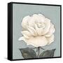 One Tan Rose-Jade Reynolds-Framed Stretched Canvas