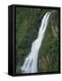 One Thousand Foot Waterfall over the Mountain Pine Ridge, Belize, Central America-Strachan James-Framed Stretched Canvas