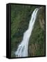 One Thousand Foot Waterfall over the Mountain Pine Ridge, Belize, Central America-Strachan James-Framed Stretched Canvas