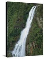 One Thousand Foot Waterfall over the Mountain Pine Ridge, Belize, Central America-Strachan James-Stretched Canvas