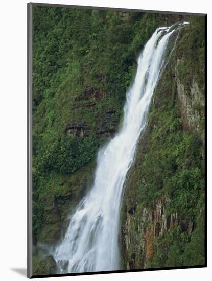 One Thousand Foot Waterfall over the Mountain Pine Ridge, Belize, Central America-Strachan James-Mounted Photographic Print