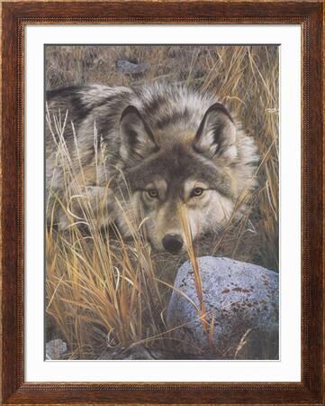 by Carl Brenders Wolves Poster 22x28 WOLF ART PRINT Tundra Summit detail