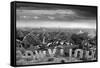 One Too Many Drinks BW-Thomas Barbey-Framed Stretched Canvas